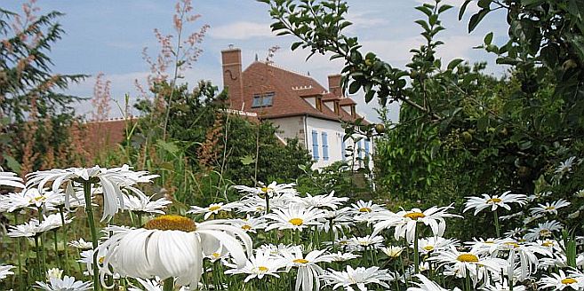 Carpe Diem à Saulcet - Jardin et Maison